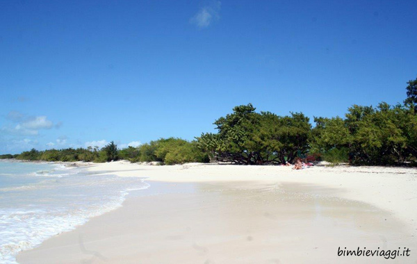 Migliori spiagge di Antigua Barbuda-coral group bay - caraibi con bambini - caraibi con neonato