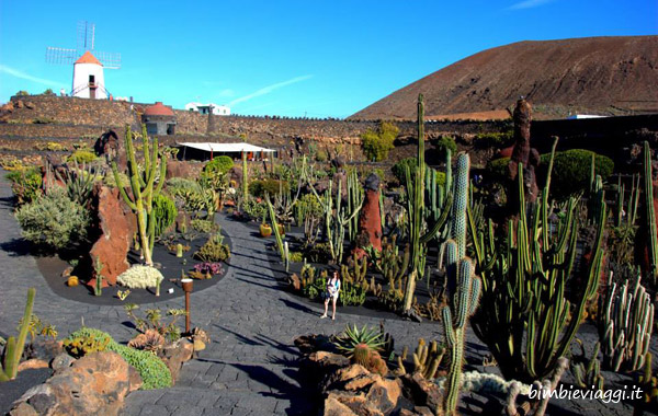 Lanzarote con bambini-jardin de cactus