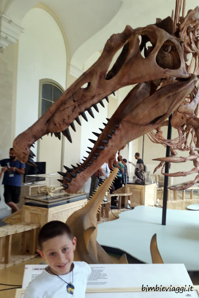 Mostra dinosauri a Milano-spinosauro