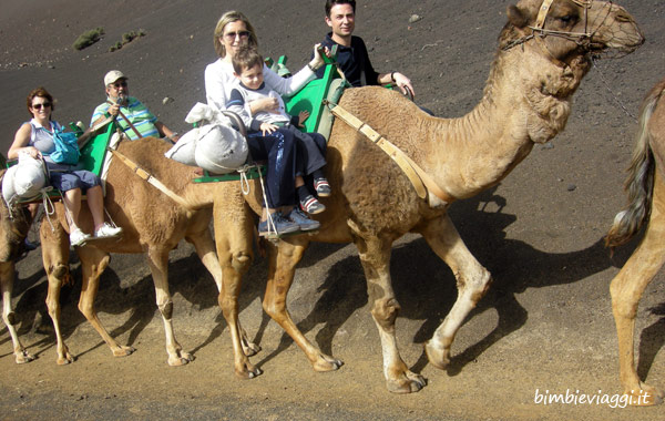 Lanzarote per bambini - cammelli