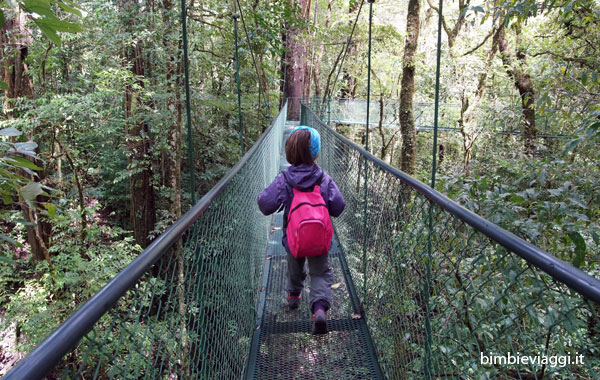 Cosa fare a Monteverde con bambini -ponti sospesi