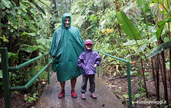 Cosa fare a Monteverde con bambini -reserva santa elena