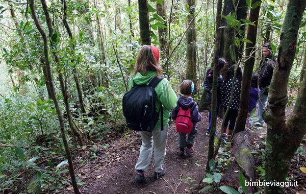 Cosa fare a Monteverde con bambini -sentieri