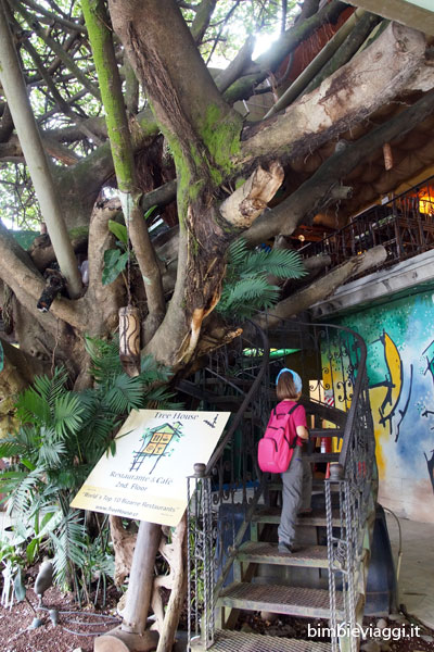 Cosa fare a Monteverde con bambini -treehouse