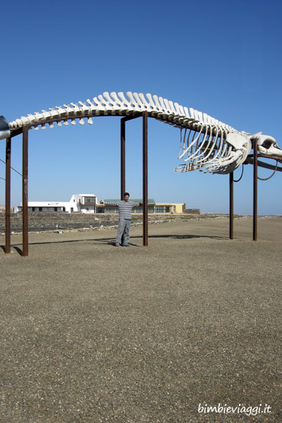 Lanzarote per bambini -scheletro balena