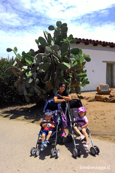 Viaggio in California per bambini -passeggini