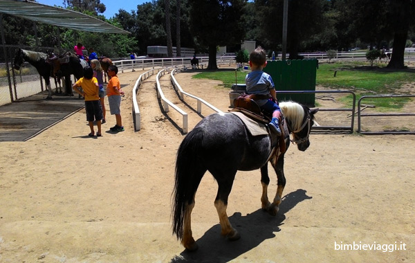 Viaggio in California per bambini -pony