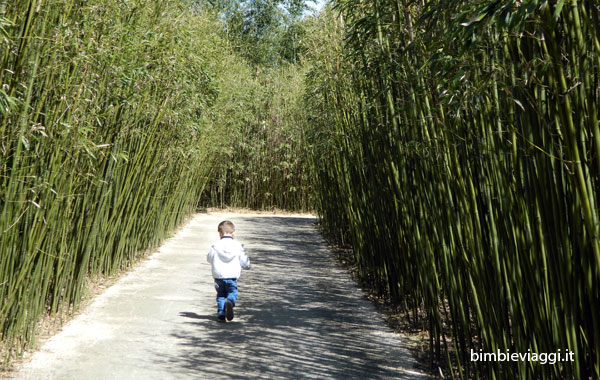 labirinto della Masone con bambini -bambù