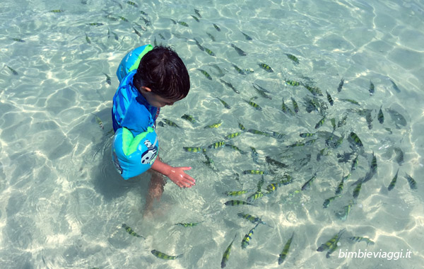 Vacanza in Thailandia con bambini - pesci