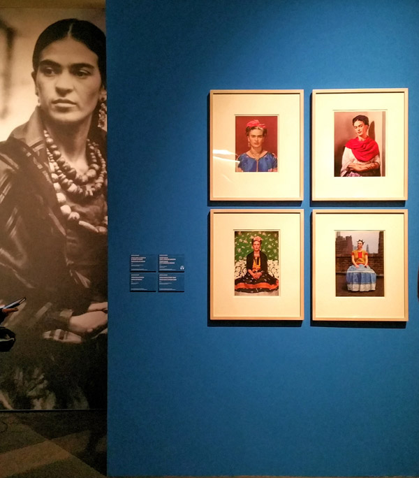 Frida a Bologna palazzo albergati fotografie