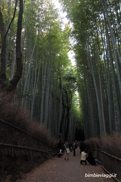 viaggio in giappone con bimbo - Kyoto Foresta di Bambù