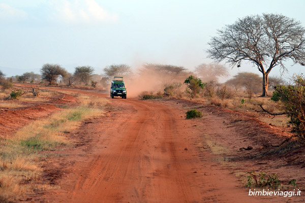 Viaggio in Kenya - safari