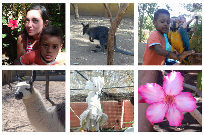 Senegal con bambini - nguerigne parco esotico