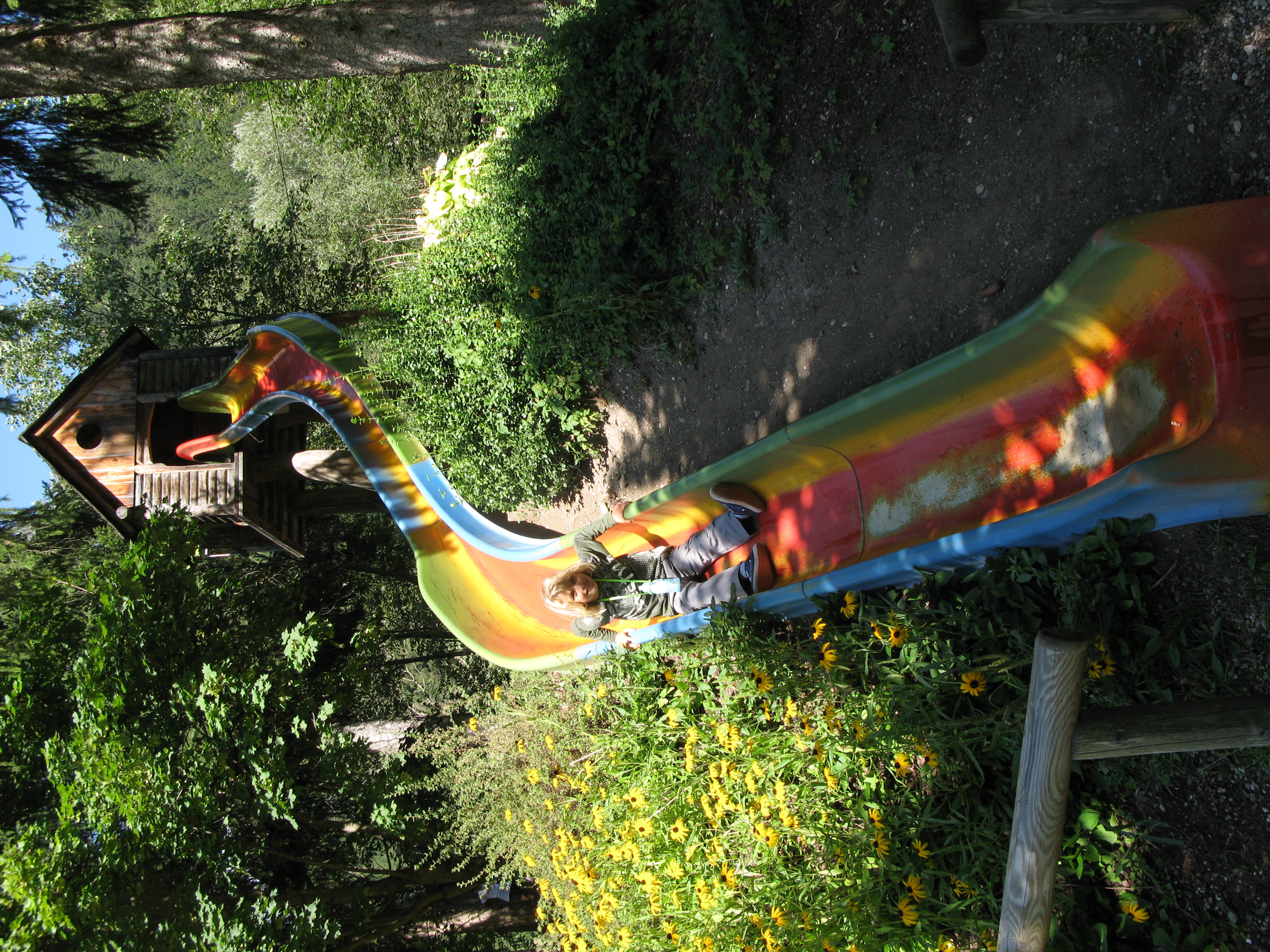 scivolando nel bosco!