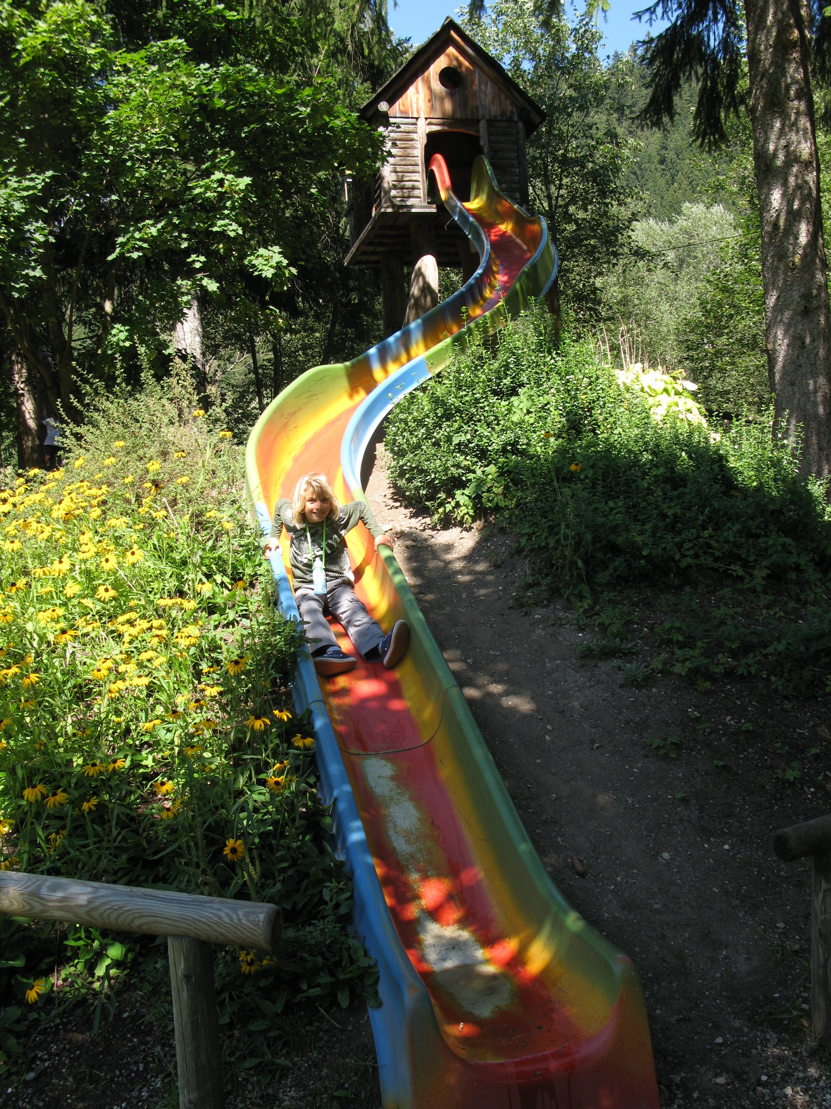 scivolando nel bosco