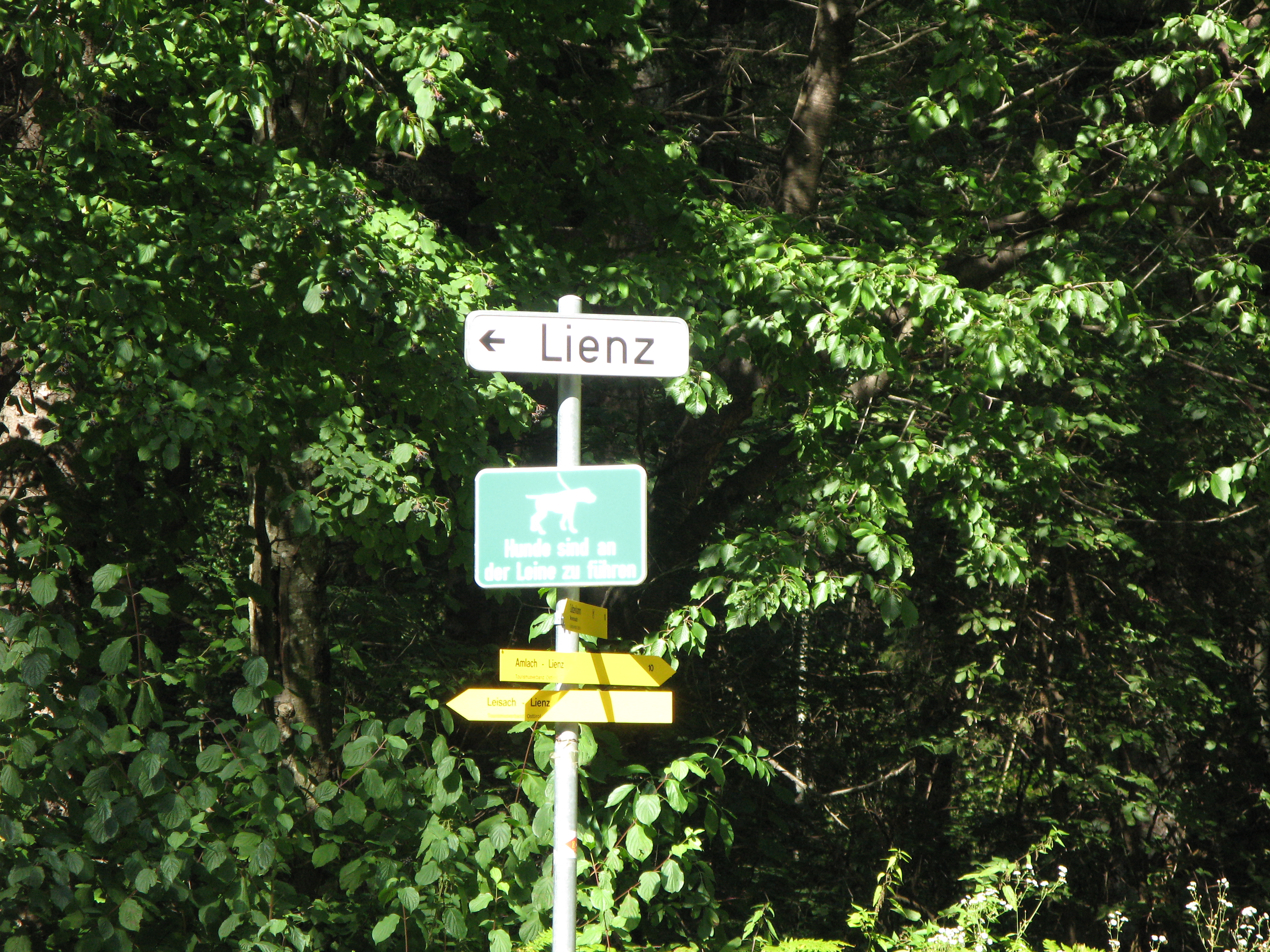 verso Lienz