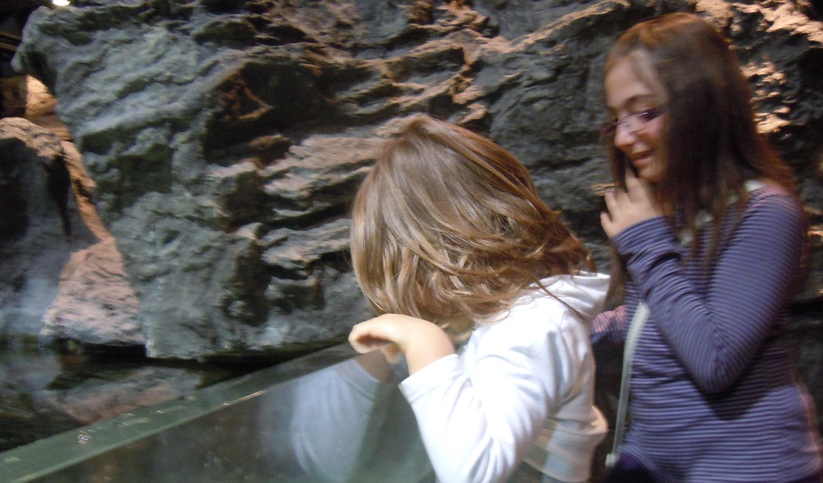 cercando le sorprese dell’acqua!