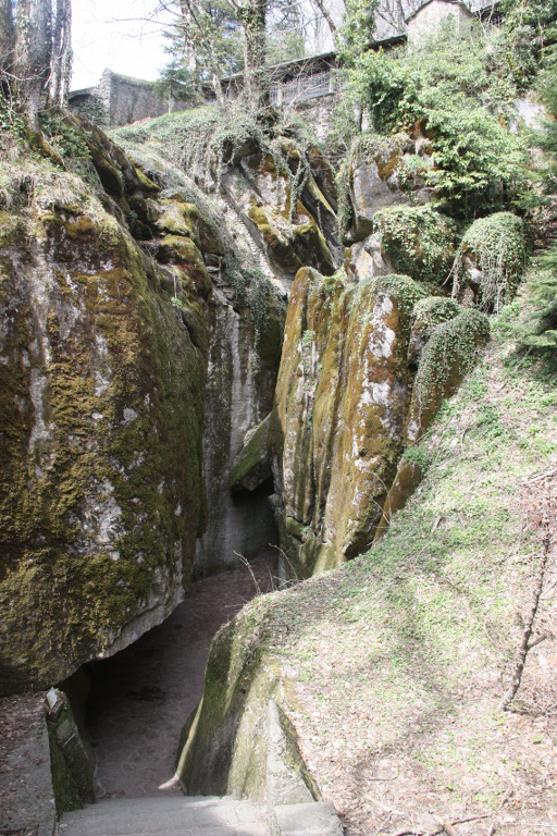 Natura a La Verna