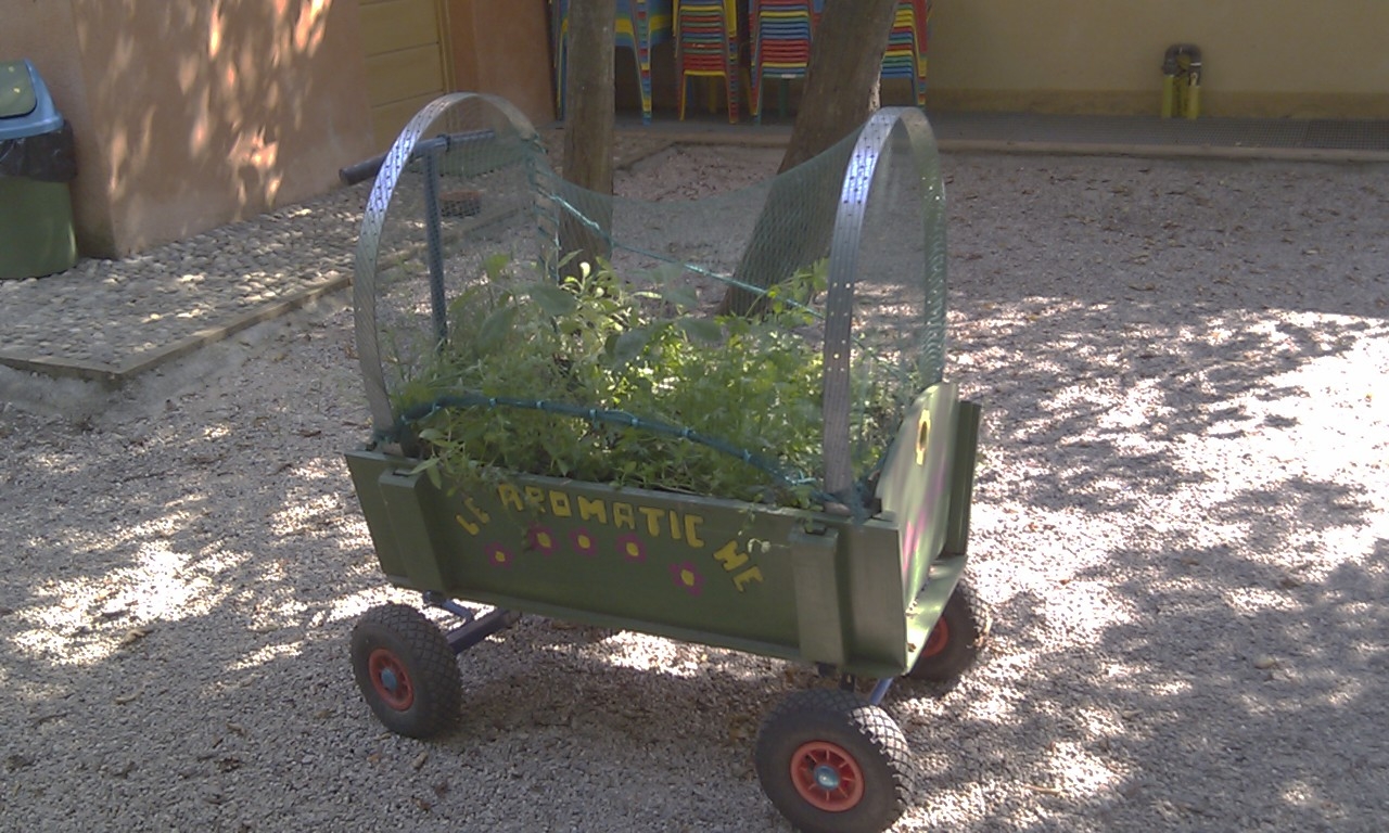 carretto aromatiche