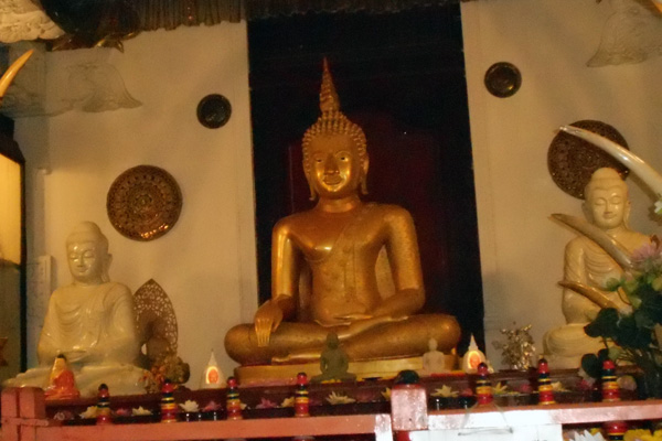 sri lanka con bambini- Bambini e Buddhismo: visite ai luoghi di culto in Sri Lanka