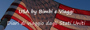 USA by Bimbi e Viaggi BANNER HP OK