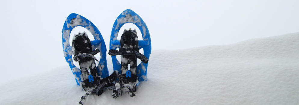 Immergersi nella neve in Val di Zoldo