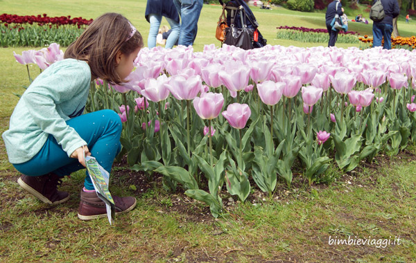 tulipani di Sigurtà con bambini - tulipanomania Parco Giardino Sigurtà