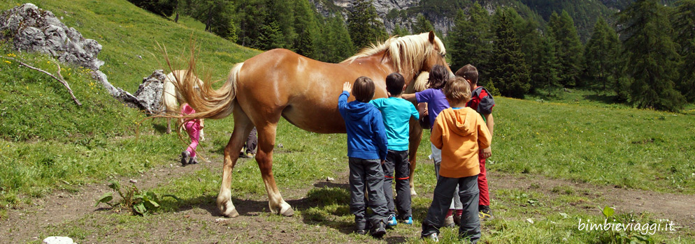 Settimana verde per bambini in Val di Zoldo: vacanze responsabili alla scoperta delle Dolomiti bellunesi