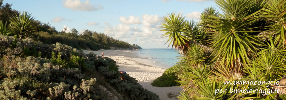 Migliori spiagge di bermuda - caraibi con bambini - caraibi con neonato