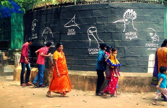 India con bambini: come organizzare un viaggio in Kerala