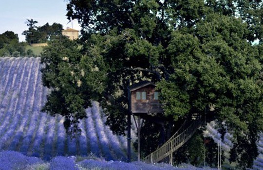 Casa sull’albero per bambini: dove trovarne in Italia?