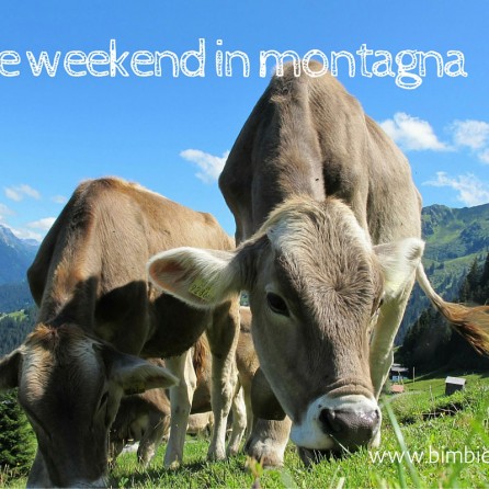 idee weekend in montagna con bambini