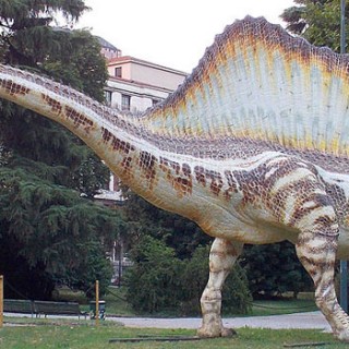 Mostra dinosauri a Milano: lo Spinosauro a Palazzo Dugnani