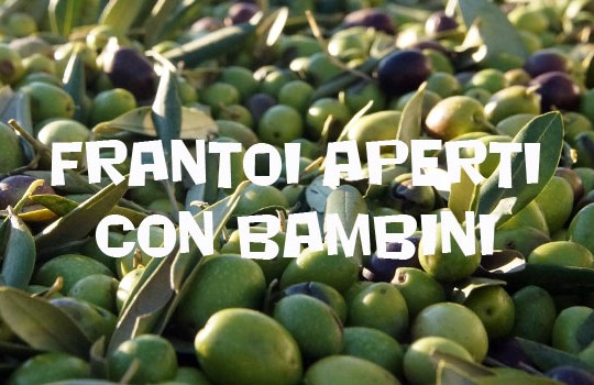 Frantoi Aperti in Umbria: alla scoperta dell’olio d’oliva