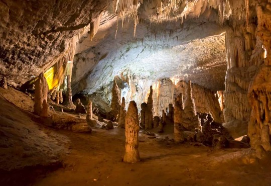 Grotte di Postumia con bambini (Slovenia): come organizzare la visita