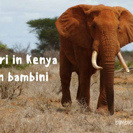 tsavo con bambini - safari in kenya con bambini - africa con bambini
