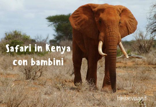 Tsavo con bambini: safari formato famiglia in Kenya