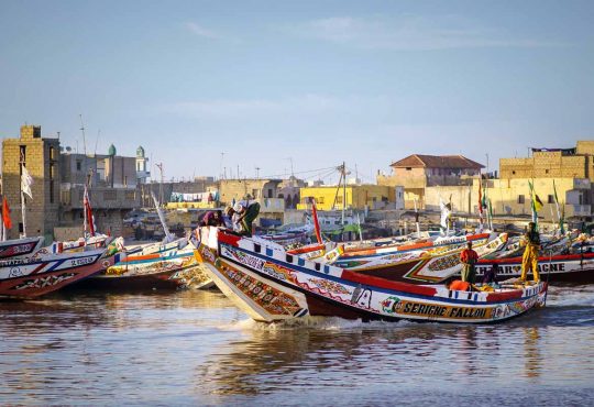 Senegal con bambini: un viaggio tra natura e antiche tradizioni
