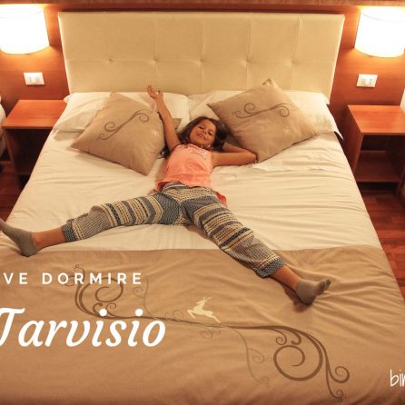 Dove dormire a Tarvisio: Hotel il Cervo