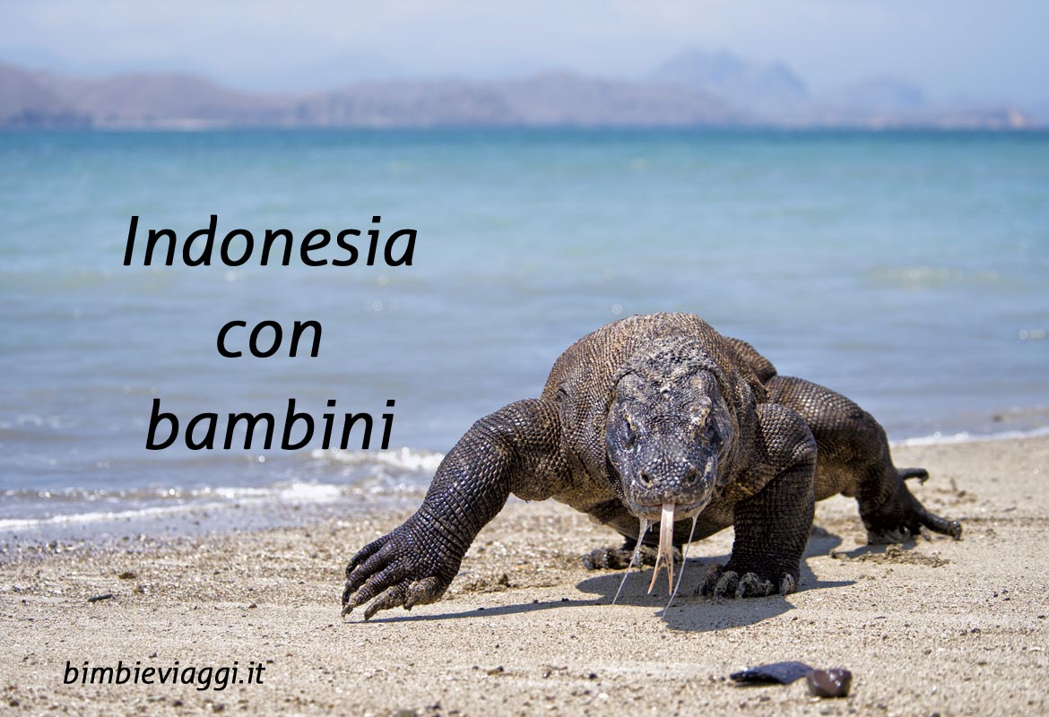 viaggio-in-indonesia-con-bambini