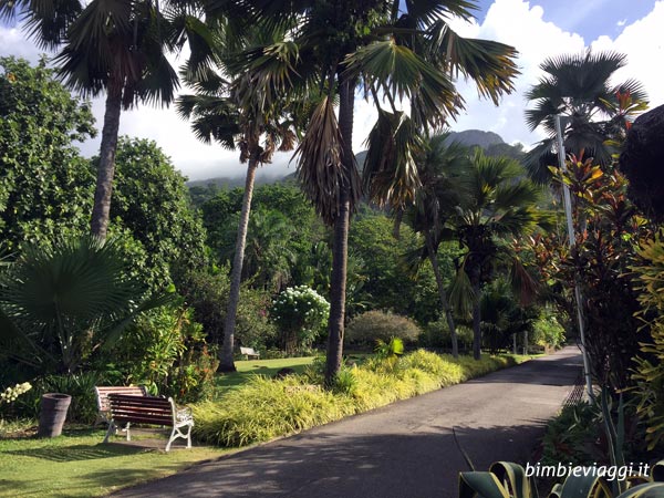 Diario-di-viaggio-alle-Seychelles-con-bambini-strada