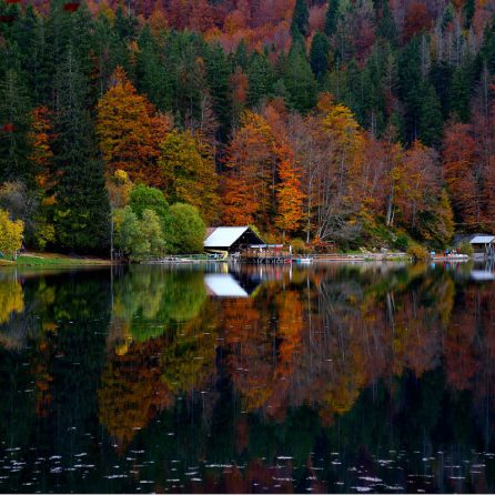 laghi di fusine Tarvisio in autunno foliage - foto di Cristina Rampado