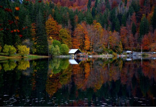 Tarvisio in autunno e inverno: cosa fare e dove andare in Friuli Venezia Giulia