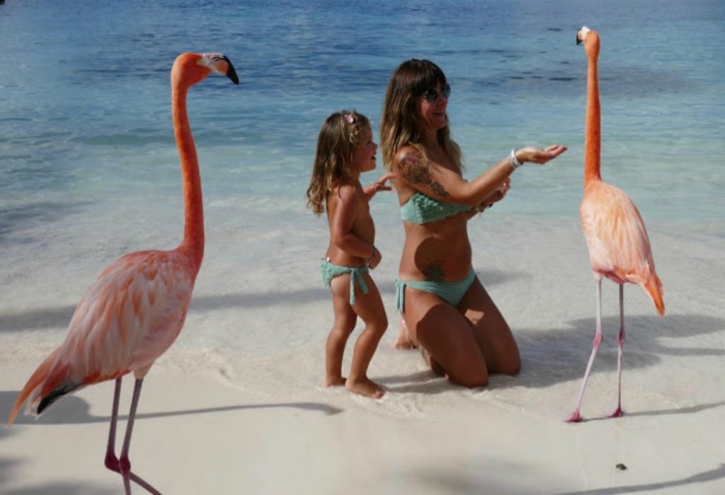 viaggio a Aruba con bimbi - flamingo beach