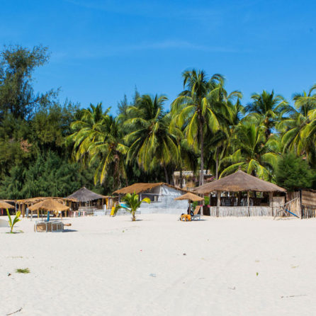 senegal con bimbi casamance