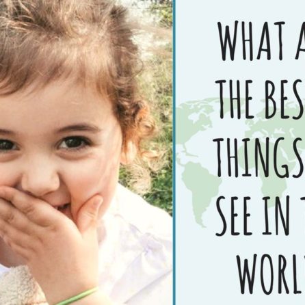 distrofia retinica - amaurosi congenita di Leber - leber congenital amaurosis - Through Vickys eyes