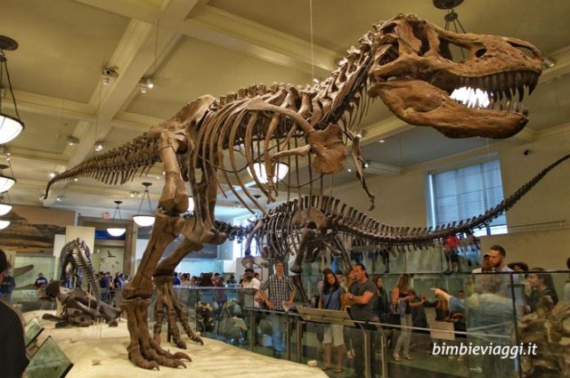 dinosauri American Museum of Natural History