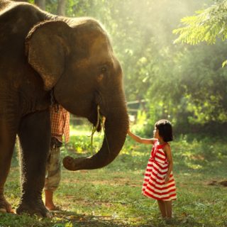 Tour Sri Lanka e Maldive con bambini: informazioni e consigli