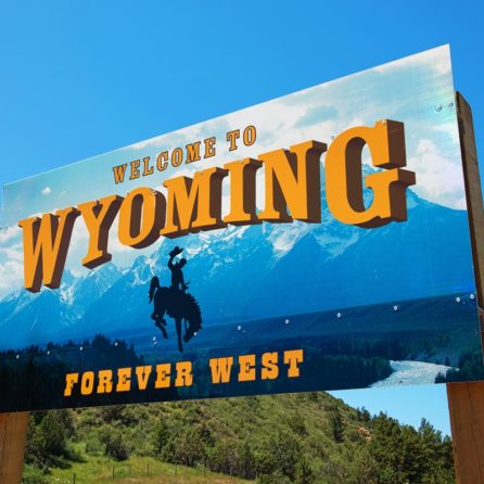 Wyoming con bambini: come organizzare il viaggio