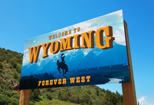 Wyoming con bambini: come organizzare il viaggio